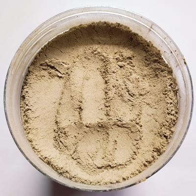 Amruthaballi Pudi 100g (Guduchi Powder) for Health & Wellness | Locate Us Store