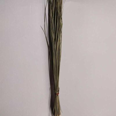 Darbe Grass – 1 Packet | Pure Pooja Essential from Locate Us Store