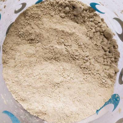 Ginger Powder 100g | Locate Us Store