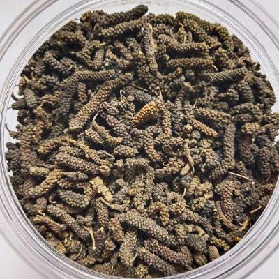 Hippali 10G – Premium Pooja & Ayurvedic Herb | Locate Us Store