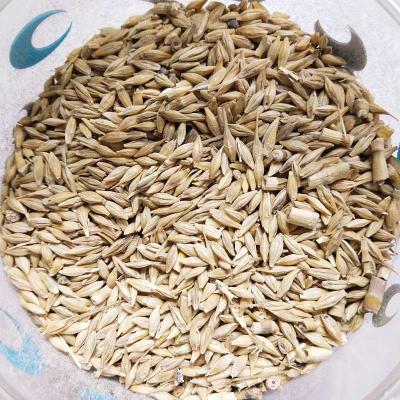 Joo 100G Pooja Essential Pack | Locate Us Store