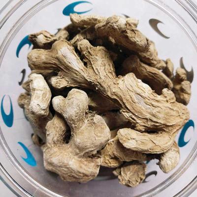 Dry Ginger 100G | Premium Sukku for Pooja & Health – Locate Us Store