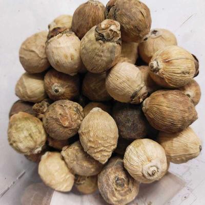 Sriphala (Sacred Coconut) for Daily Pooja | Locate Us Store